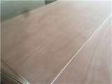  okoume plywood poplar core E1 and E0 glue furniture use
